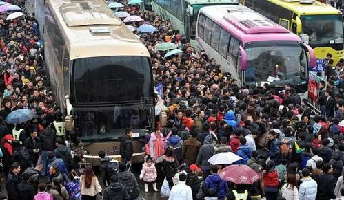 回家 6大客運(yùn)站開賣春運(yùn)前汽車票