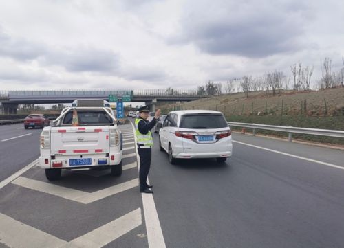 清明小長假客流回升明顯,公路水路數據來了