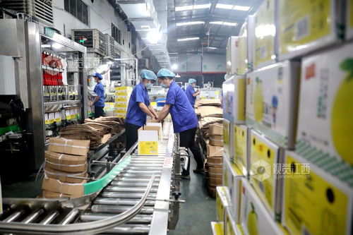 峽江 食品企業(yè) 產(chǎn)銷兩旺 圖