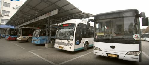 道路客運量10.8萬人次 市公航運中心圓滿完成市區道路旅客運輸服務保障工作