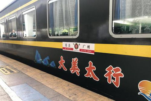 陳瑩點贊2019幸福列車公益行動
