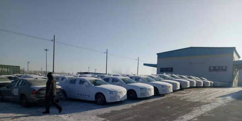 哈鐵商品汽車運輸新線累計發運突破5000臺